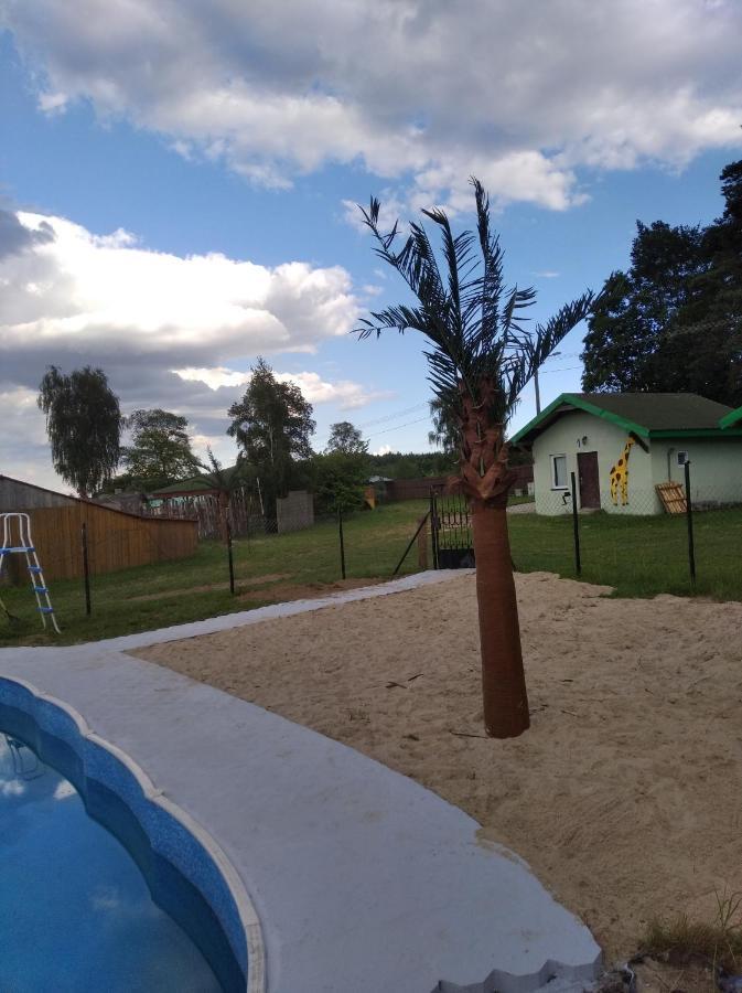DOMKI pod lasem Płońsk Exterior foto